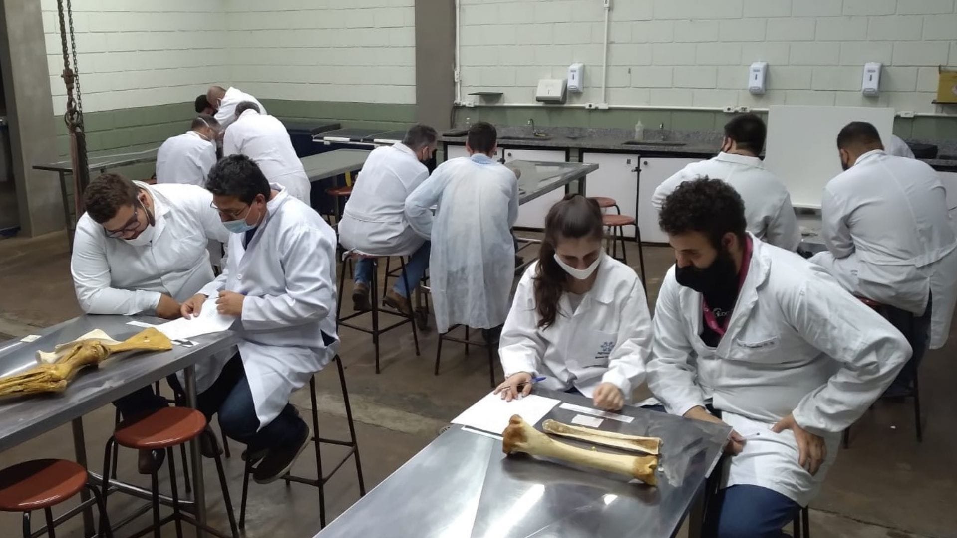A imagem mostra os alunos durante a atividade, em bancadas com as peças anatômicas e esqueletos.