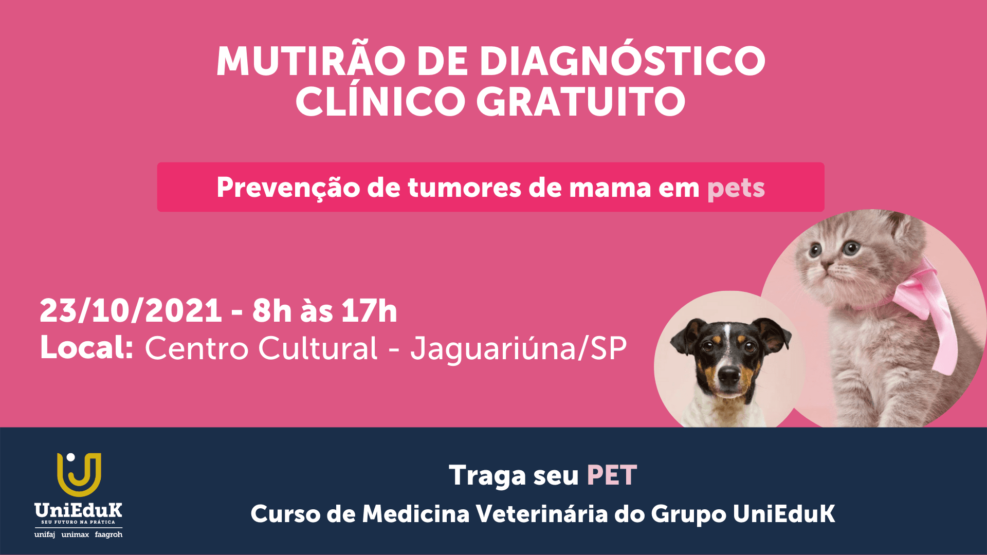 A arte cor de rosa traz as informações básicas do mutirão para diagnóstico de câncer de mama em pets.