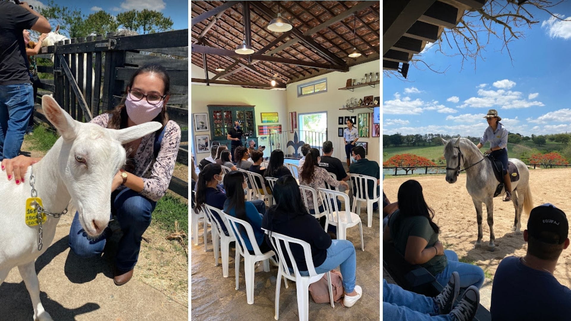 A imagem traz três fotos das atividades realizadas na visita técnica à Agro Maripá, com palestras e apresentação do local.