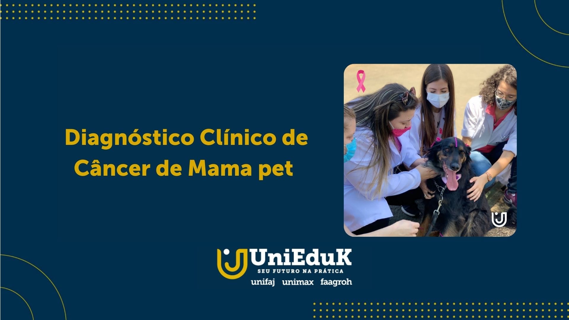 A imagem traz uma foto de alunas com um cachorro atendido durante o mutirão para diagnóstico clínico de câncer de mama em pets.