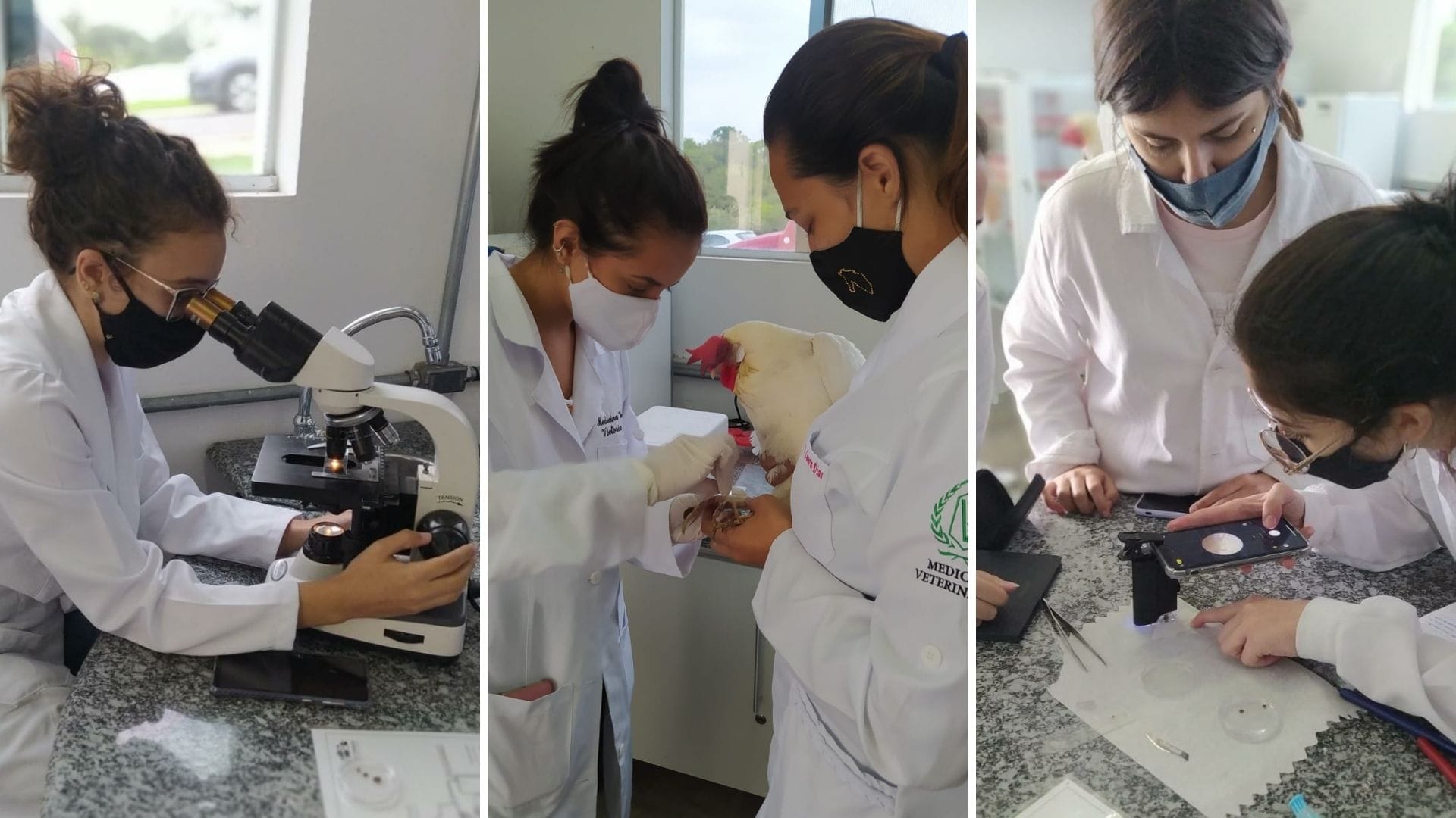 Imagem mostra os alunos de Medicina Veterinária do Grupo UniEduK realizando a coleta de material para análise de sarna em cães e aves.