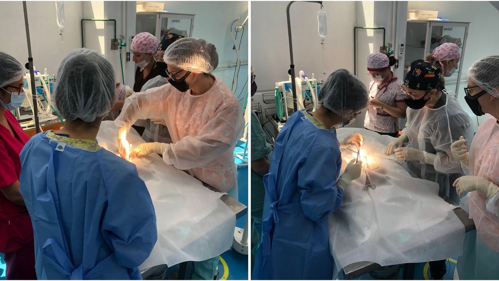 A imagem mostra a professora Sônia Rumiko durante o procedimento de técnicas cirúrgicas assistido pelos alunos.