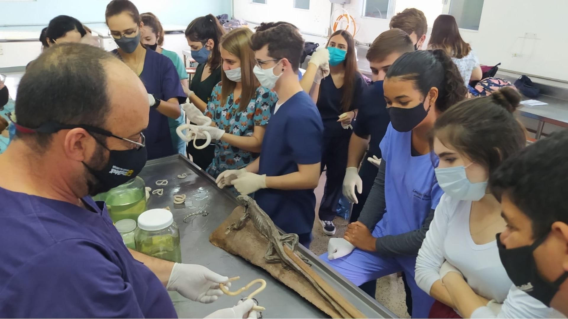 A imagem mostra os alunos de Medicina Veterinária durante a aula prática de Semiologia, com as peças anatômicas e os animais taxidermizados.