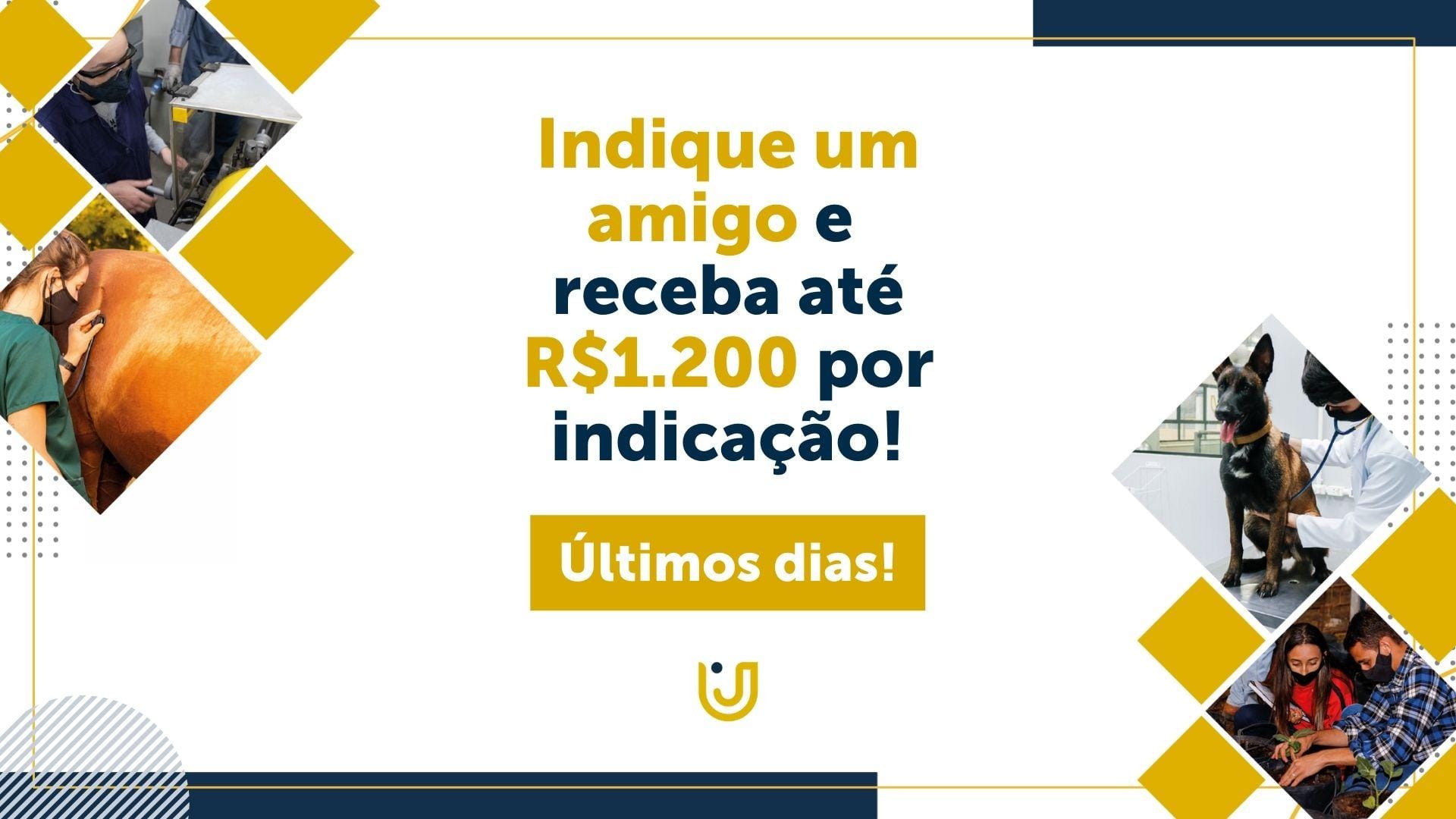 A imagem mostra o logo da Campanha Indique Um Amigo