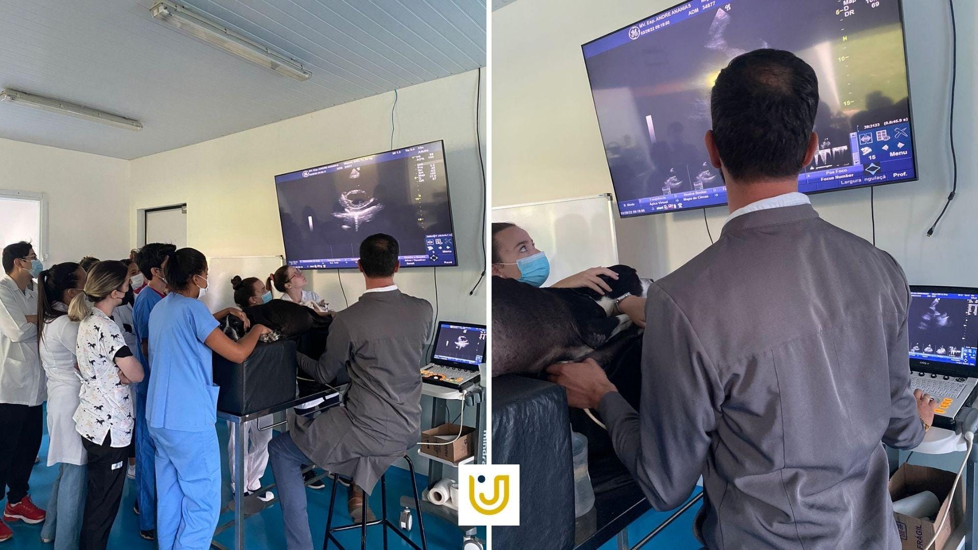A imagem de capa mostra momentos da aula prática dos alunos de Medicina Veterinária sobre ecografia.