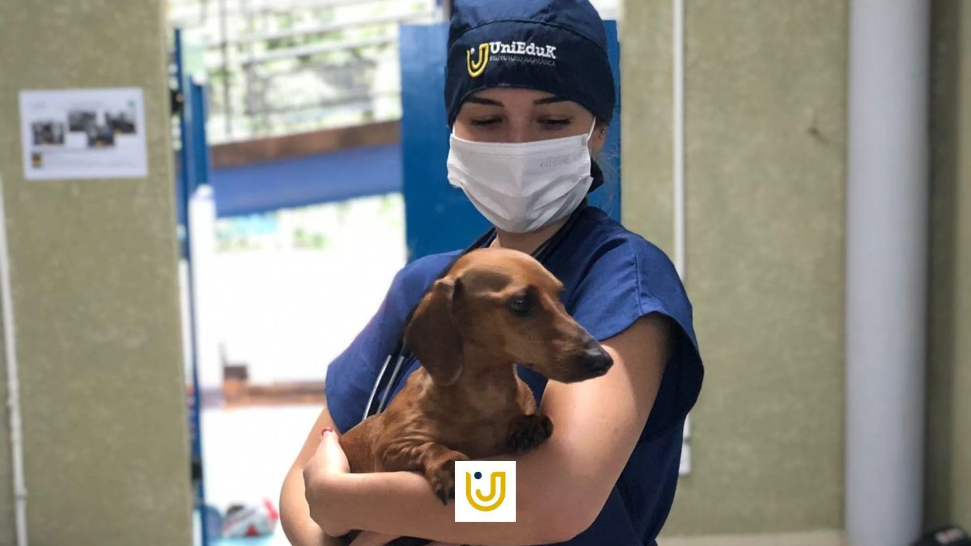 A imagem mostra o primeiro paciente a utilizar tomógrafo do Hospital Veterinário do Grupo UniEduK que recebeu alta médica.