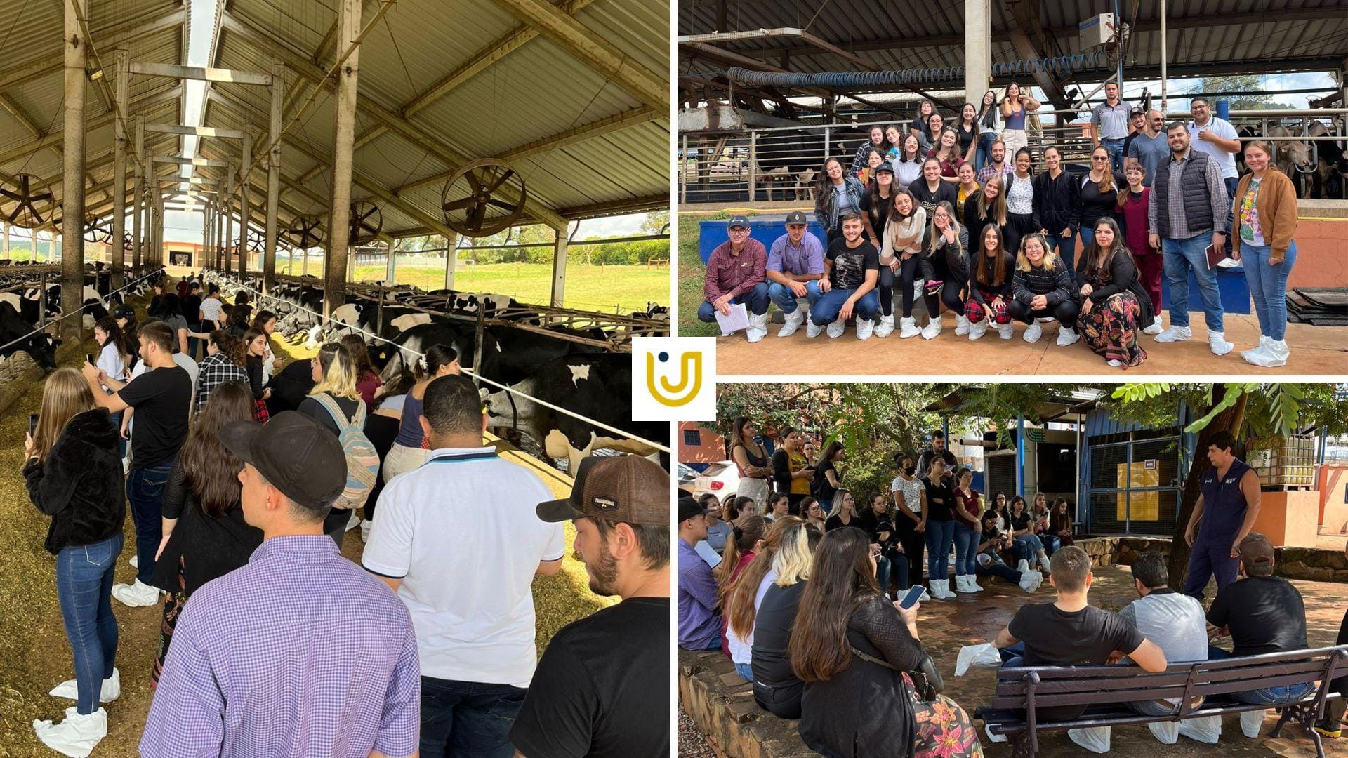 A imagem mostra os alunos do curso de Medicina Veterinária durante visita à fazenda de produção de leite Agrindus.