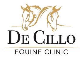 De Cillo Equine Clinic